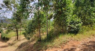 0.25 acres Along Koinange Road Kamangu-Kikuyu
