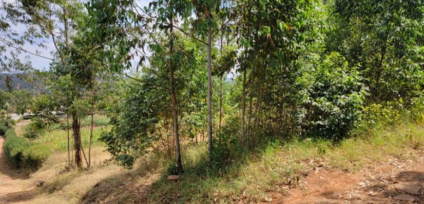 Awesome 1/4 Plot With Amazing Serenity