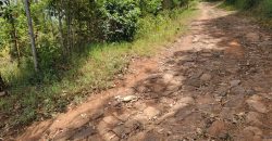 0.25 acres Along Koinange Road Kamangu-Kikuyu