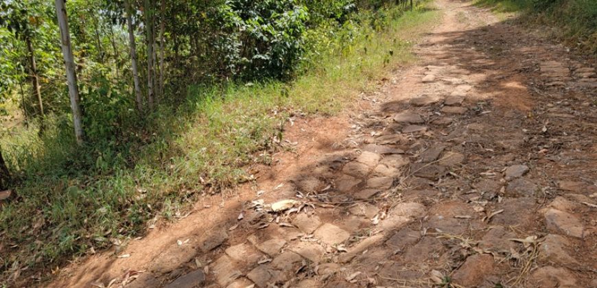 0.25 acres Along Koinange Road Kamangu-Kikuyu