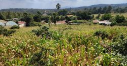 Serene 1/4 Acre Plot With Amazing Views