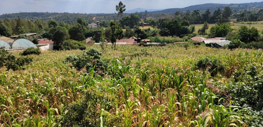 Serene 1/4 Acre Plot With Amazing Views