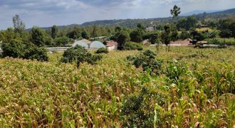 Serene 1/4 Acre Plot With Amazing Views
