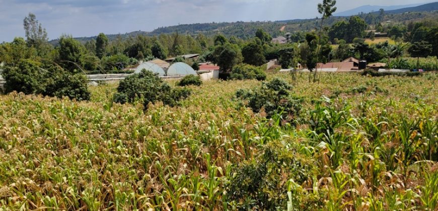 Serene 1/4 Acre Plot With Amazing Views