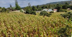 Serene 1/4 Acre Plot With Amazing Views