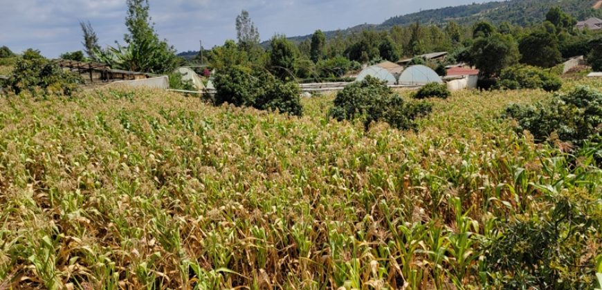 Serene 1/4 Acre Plot With Amazing Views