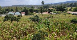Serene 1/4 Acre Plot With Amazing Views