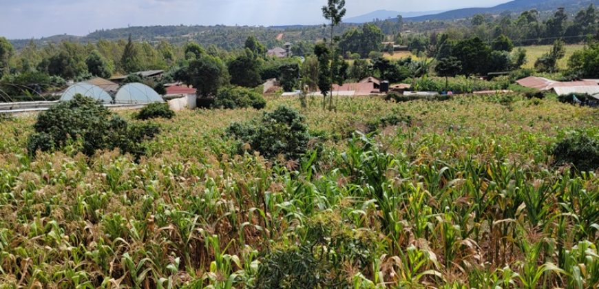 Serene 1/4 Acre Plot With Amazing Views