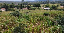 Serene 1/4 Acre Plot With Amazing Views