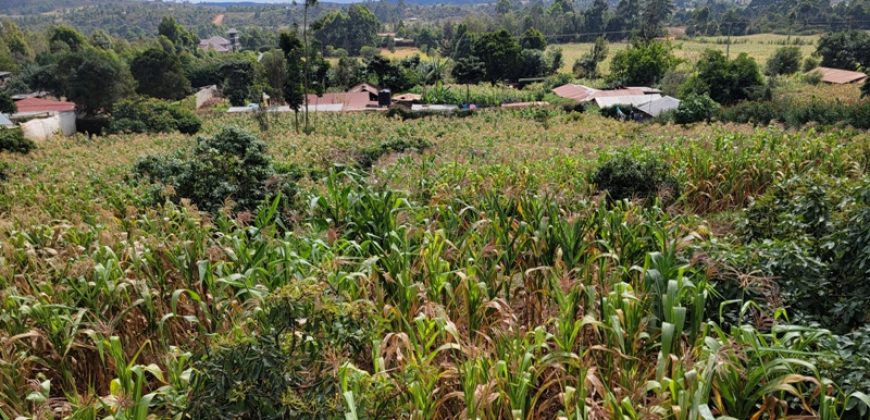 Serene 1/4 Acre Plot With Amazing Views