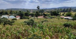 Serene 1/4 Acre Plot With Amazing Views