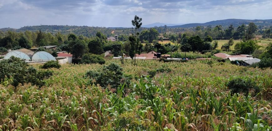 Serene 1/4 Acre Plot With Amazing Views