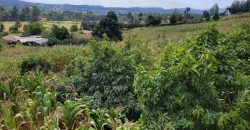 Serene 1/4 Acre Plot With Amazing Views