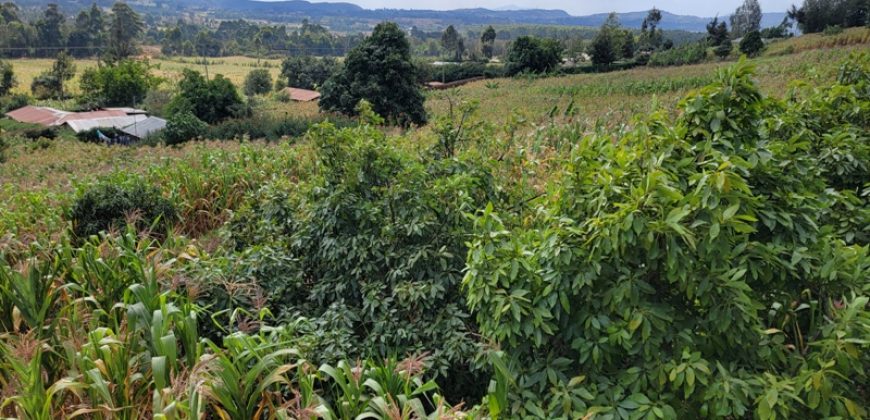 Serene 1/4 Acre Plot With Amazing Views