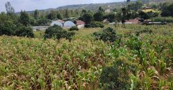 Serene 1/4 Acre Plot With Amazing Views