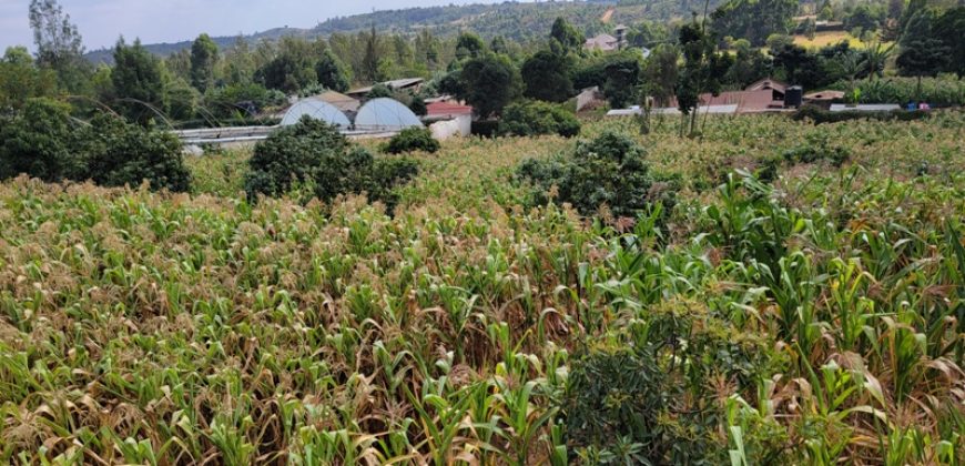 Serene 1/4 Acre Plot With Amazing Views