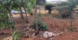 Prime 1/8th Acre Plots Ready For Development