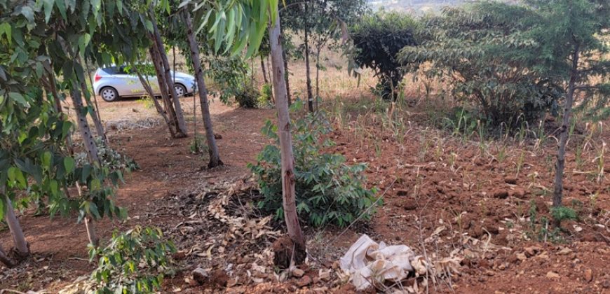 Prime 1/8th Acre Plots Ready For Development