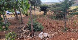 Prime 1/8th Acre Plots Ready For Development