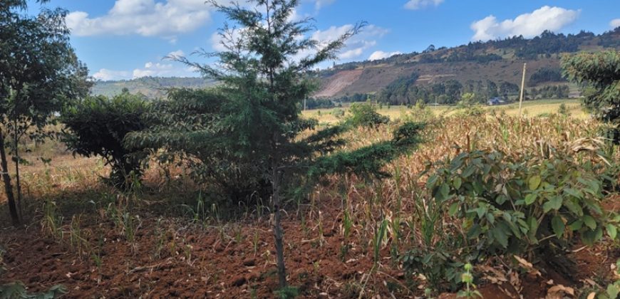 Prime 1/8th Acre Plots Ready For Development