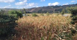 Prime 1/8th Acre Plots Ready For Development