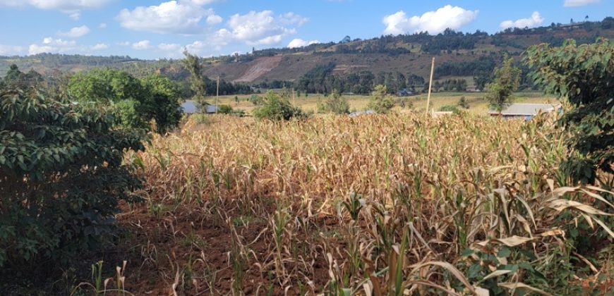 Prime 1/8th Acre Plots Ready For Development
