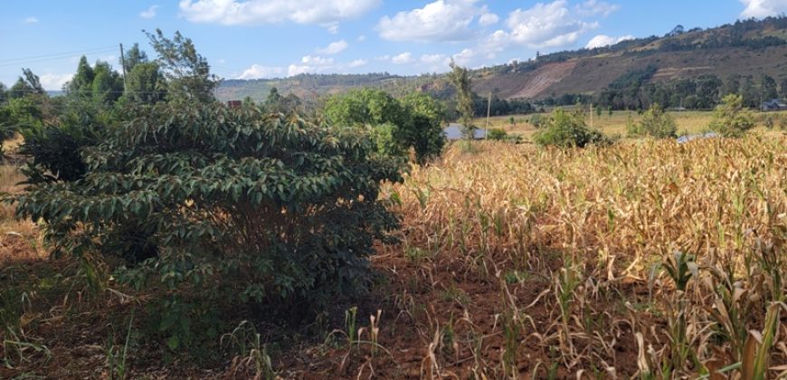 Prime 1/8th Acre Plots Ready For Development
