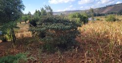 Prime 1/8th Acre Plots Ready For Development