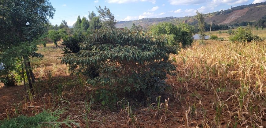 Prime 1/8th Acre Plots Ready For Development