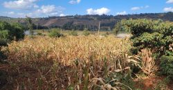 Prime 1/8th Acre Plots Ready For Development