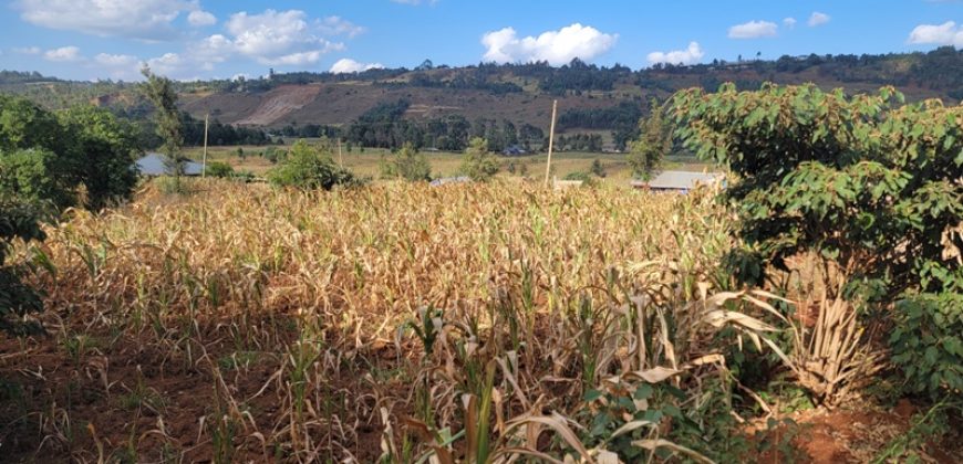 Prime 1/8th Acre Plots Ready For Development