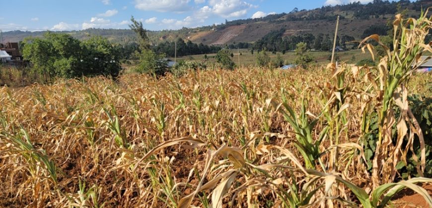 Prime 1/8th Acre Plots Ready For Development