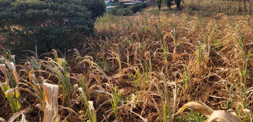 Prime 1/8th Acre Plots Ready For Development