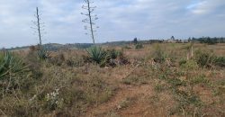 5 acres In Kiriri kamangu-kikuyu
