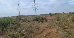 5 acres In Kiriri kamangu-kikuyu