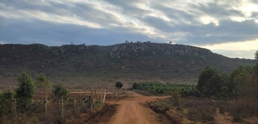 5 acres In Kiriri Kamangu-Kikuyu