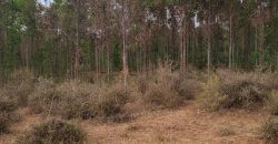 5 acres In Kiriri Kamangu-Kikuyu