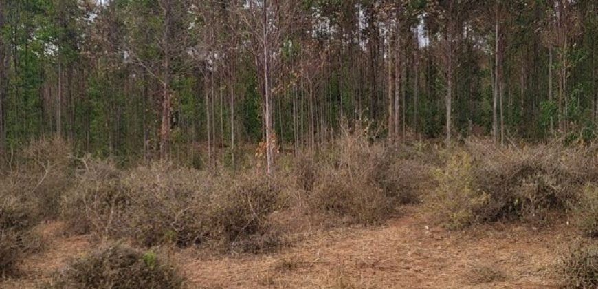 5 acres In Kiriri Kamangu-Kikuyu