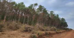 5 acres In Kiriri Kamangu-Kikuyu