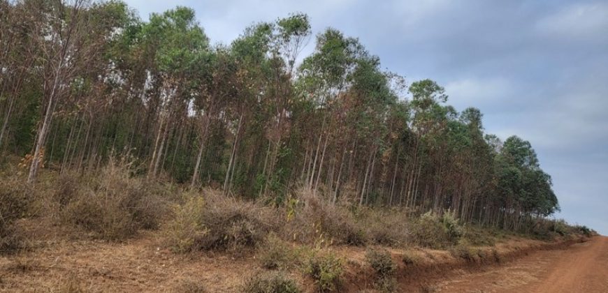 5 acres In Kiriri Kamangu-Kikuyu