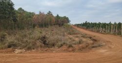 5 acres In Kiriri Kamangu-Kikuyu