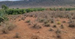 5 acres In Thigio Kamangu