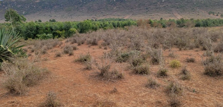 5 acres In Thigio Kamangu