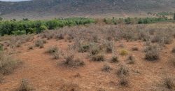 5 acres In Thigio Kamangu