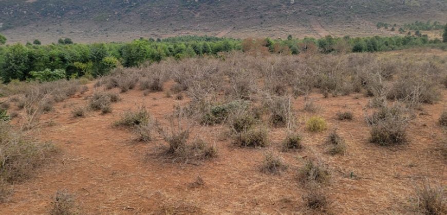 5 acres In Thigio Kamangu