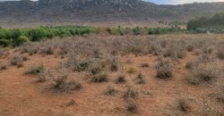 5 acres In Thigio Kamangu