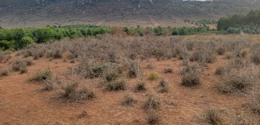5 acres In Thigio Kamangu