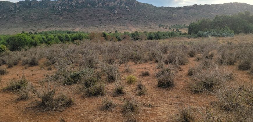 5 acres In Thigio Kamangu