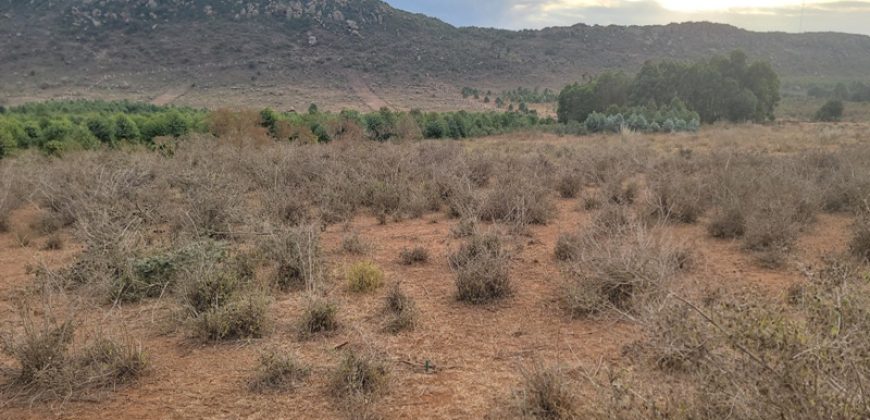 5 acres In Thigio Kamangu