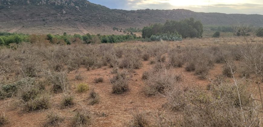 5 acres In Thigio Kamangu